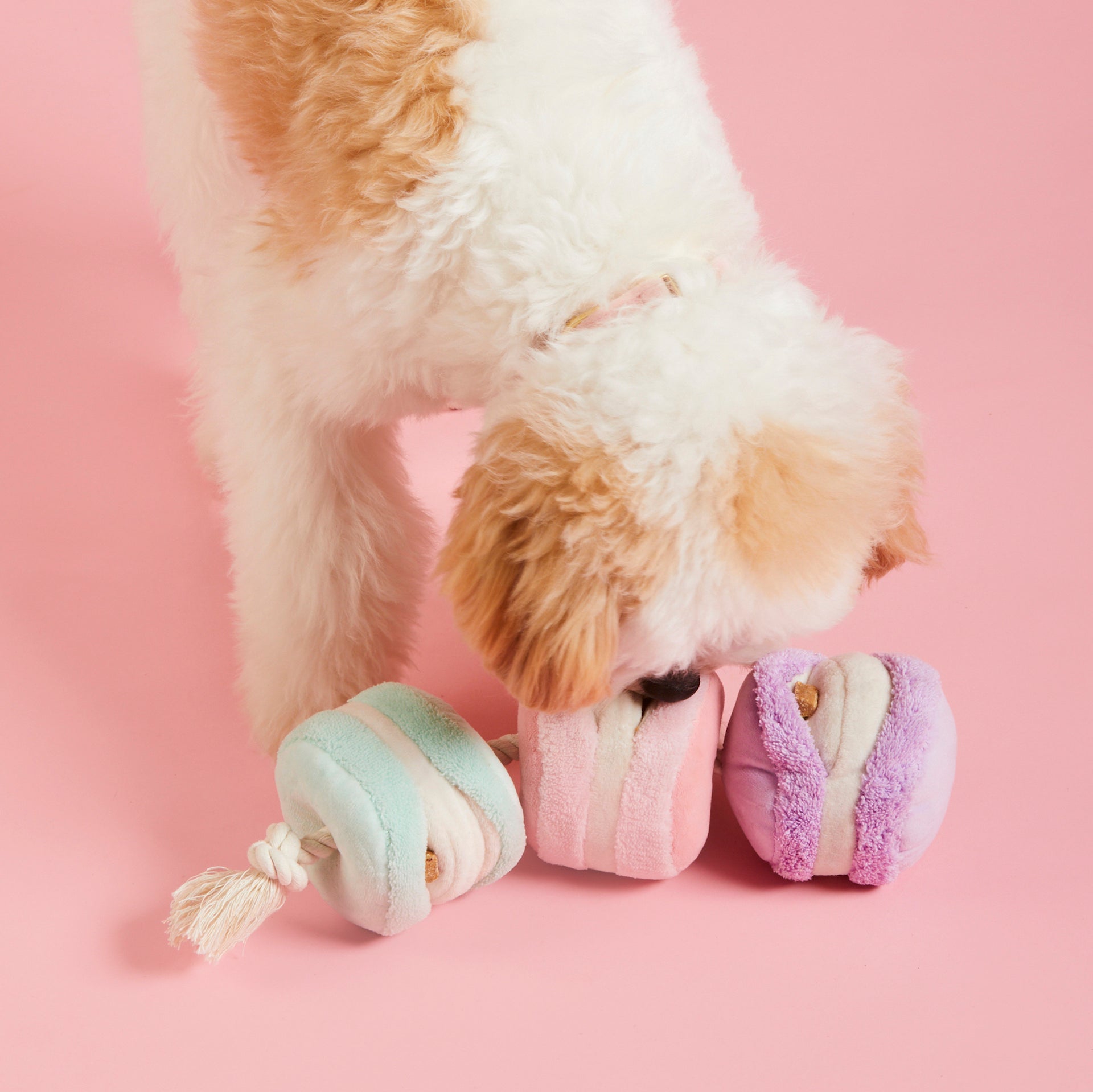 Sweet Treats Interactive Toy Set
